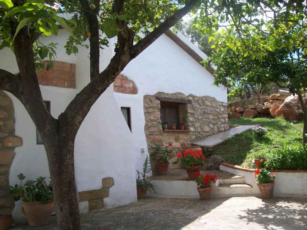 Casa De Abajo * Prado Del Rey