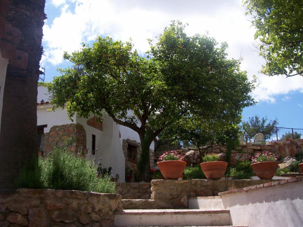 Holiday home Casa De Abajo