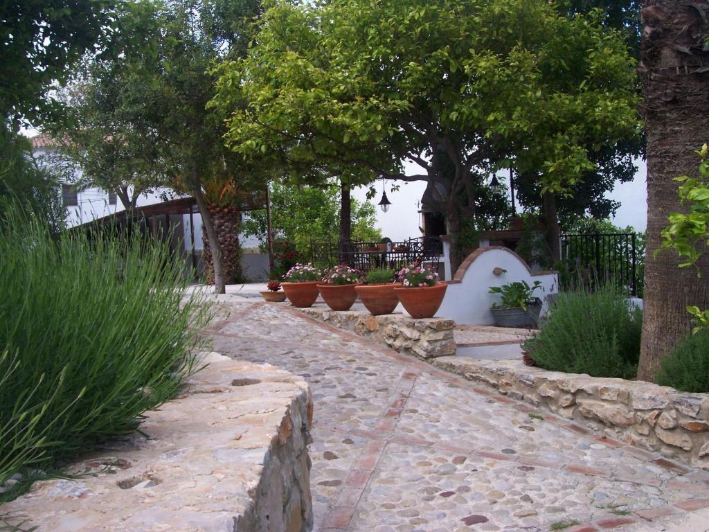 Casa De Abajo Prado Del Rey