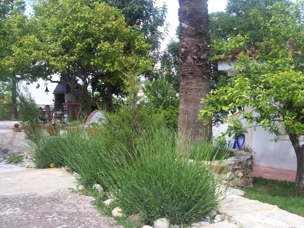 Holiday home Casa De Abajo *